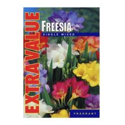Taylors Freesia Mixed Single