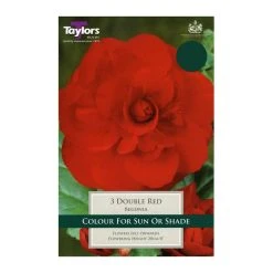 Taylors Double Red Begonias (3 Pack)