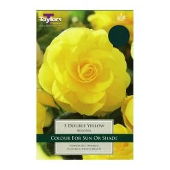 Taylors Double Yellow Begonias (3 Pack)