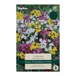Taylors Allium Mixed