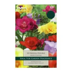 Taylors Freesia Mixed Double Bulbs (10 Pack)