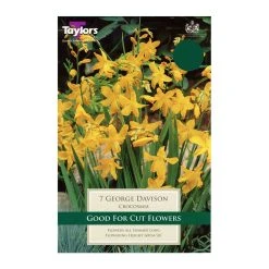 Taylors Crocosmia George Davison