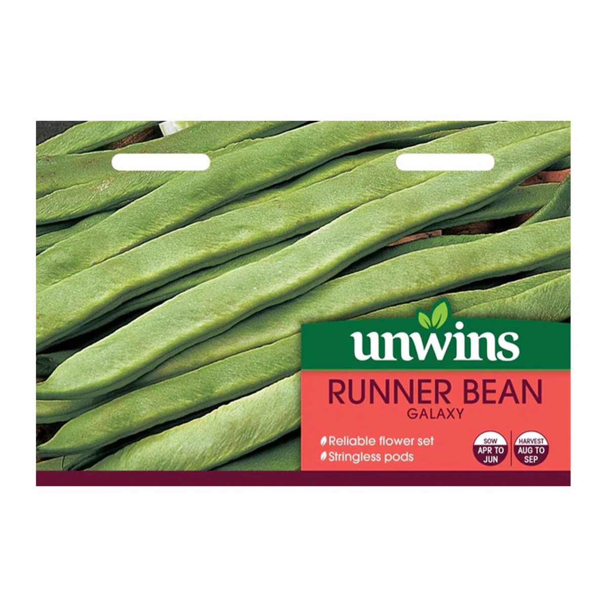 Unwins Seed Runner Bean Galaxy 1 Unwins Seed Runner Bean Galaxy