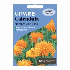 Unwins Calendula Needles And Pins