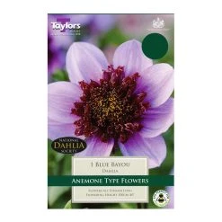 Taylors Dahlia Blue Bayou