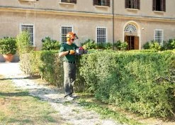 Efco EFCO Efco Efco Efco Efco Petrol Hedge Trimmer TG2650XP