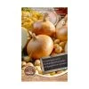 Stuttgarter Giant Onion Sets 250g