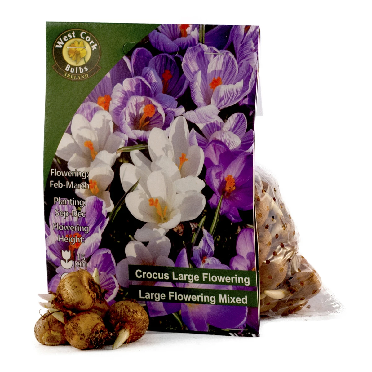 West Cork Bulbs Crocus Large Flowering Mixed 50 Bulbs 2 West Cork Bulbs Crocus Large Flowering Mixed 50 Bulbs - Billede 2