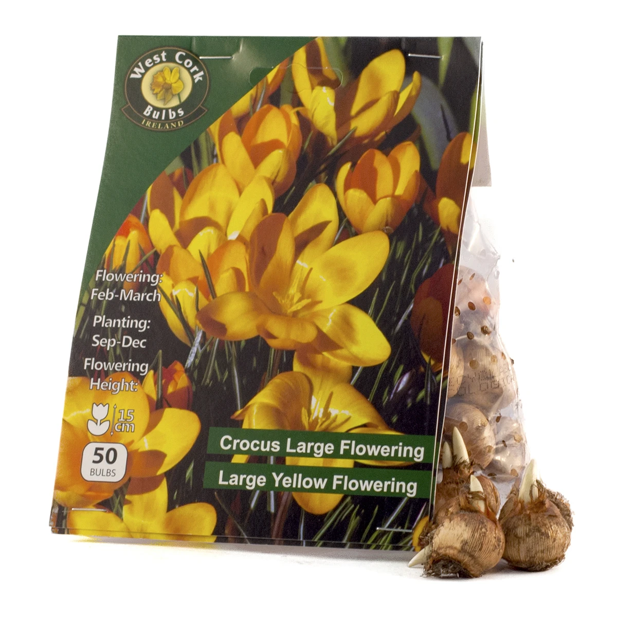 West Cork Bulbs Crocus Large Yellow Flowering 50 Bulbs 2 West Cork Bulbs Crocus Large Yellow Flowering 50 Bulbs - Billede 2