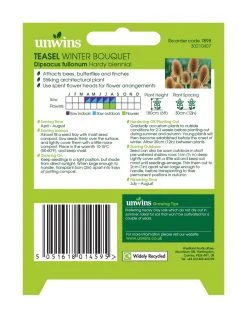 Unwins Nature's Haven Teasel Winter Bouquet