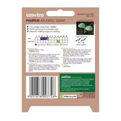 Unwins Seed Pumpkin Atlantic Giant