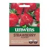 Unwins Seed Strawberry Florian