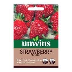 Unwins Seed Strawberry Florian