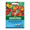 Unwins Seed Nasturtium Alaska Mix