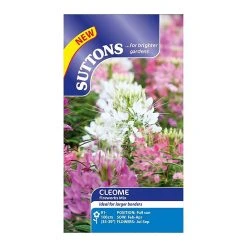 Suttons Seeds Suttons Seed Cleome Fireworks Mix -Kent &amp Stowe butik 9091688 leftoffront 1200Wx1200H