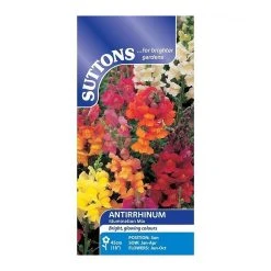 Suttons Seeds Suttons Seed Antirrhinum Illumination Mix