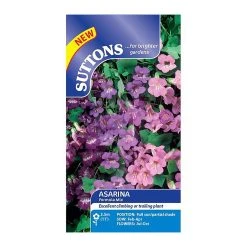 Suttons Seeds Suttons Seed Asarina Formula Mix