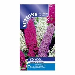 Suttons Seeds Suttons Seed Buddleia Butteryfly Magnet Mix