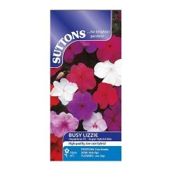 Suttons Seeds Suttons Seed Busy Lizzie Val Hybrid Impatiens -Kent &amp Stowe butik 9091718 leftoffront 1200Wx1200H