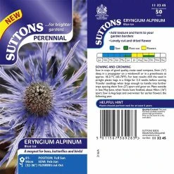 Suttons Seeds Suttons Seed Eryngium Alpinum Blue Ice