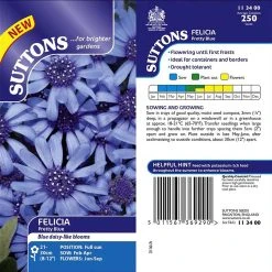 Suttons Seeds Suttons Seed Felicia Pretty Blue