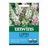 Suttons Seeds Suttons Seed Lupin Pink Fairy
