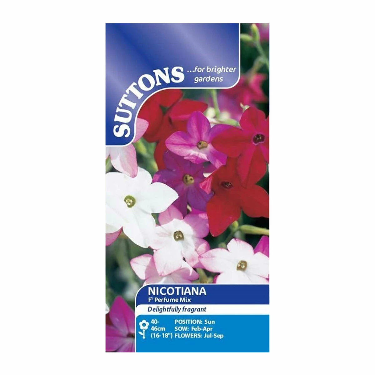 Suttons Seeds Suttons Seed Nicotiana Perfume Mix F1 2 Suttons Seeds Suttons Seed Nicotiana Perfume Mix F1 - Billede 2