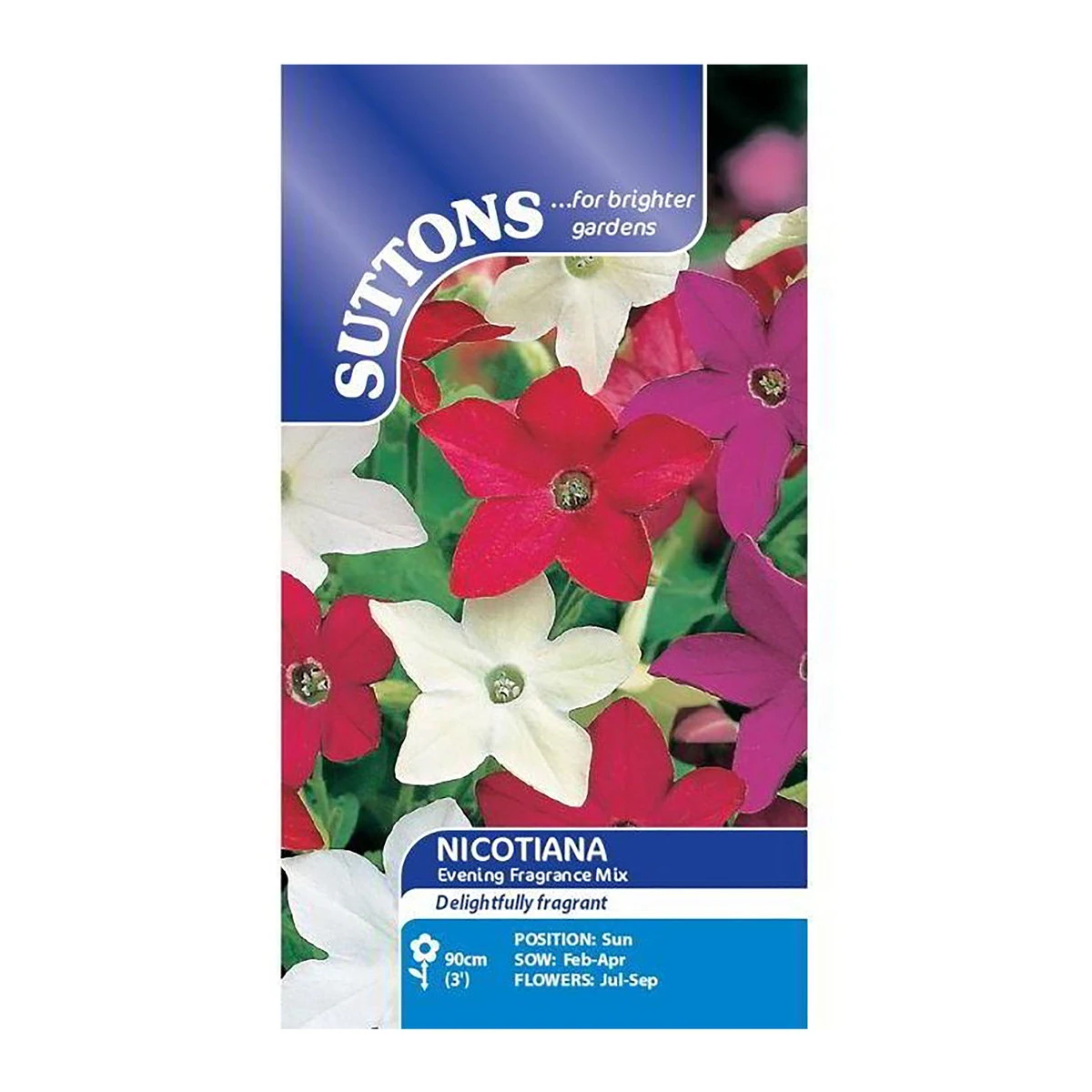 Suttons Seeds Suttons Seed Nicotiana Evening Fragrance Mix 2 Suttons Seeds Suttons Seed Nicotiana Evening Fragrance Mix - Billede 2