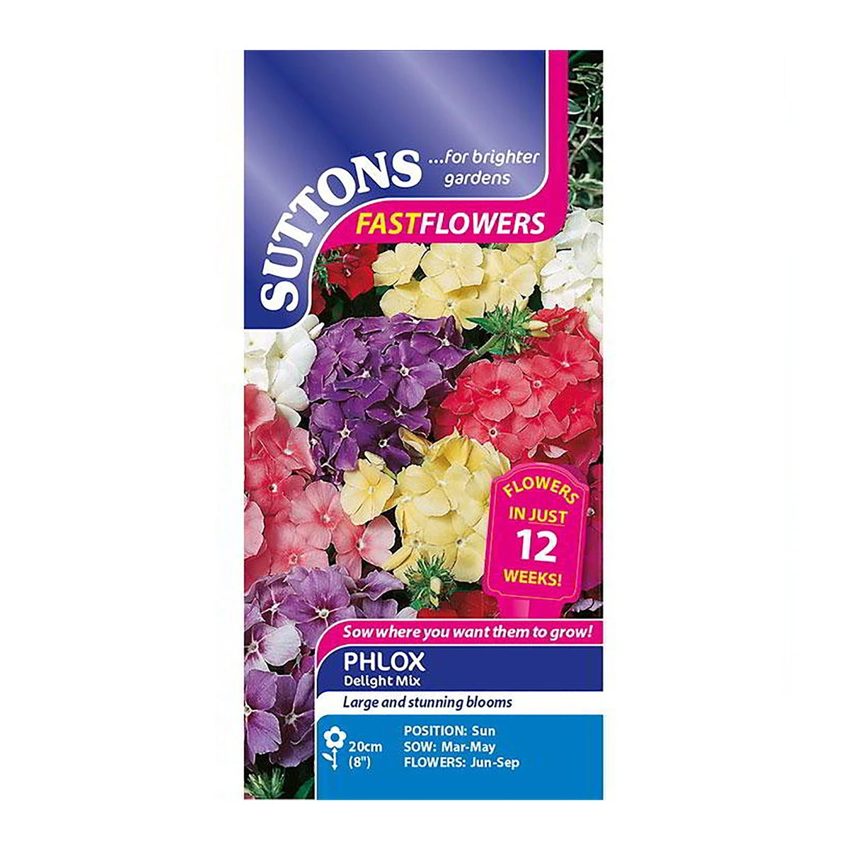 Suttons Seeds Suttons Seed Phlox Delight Drummondii Mix 2 Suttons Seeds Suttons Seed Phlox Delight Drummondii Mix - Billede 2