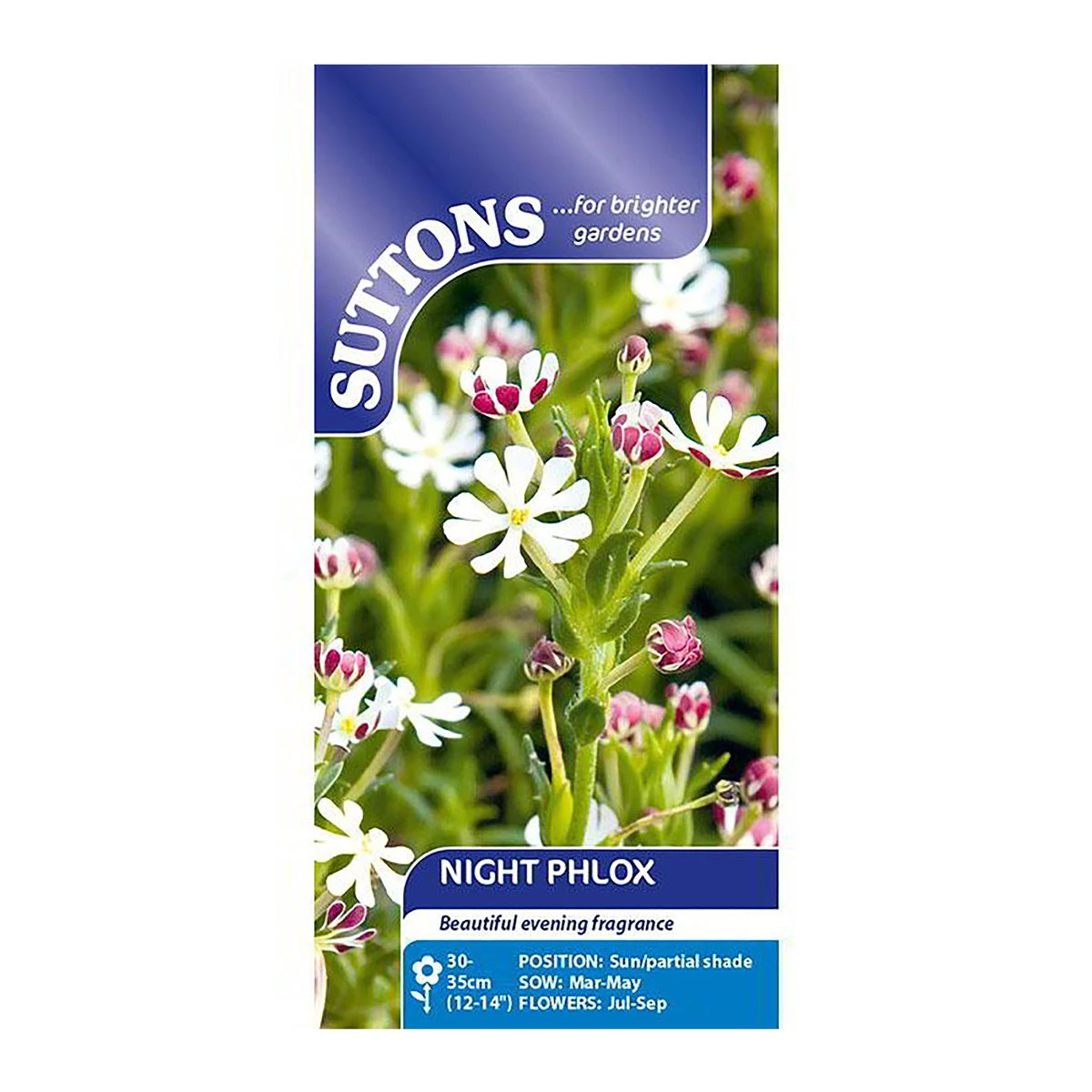 Suttons Seeds Suttons Seed Night Flowering Phlox. 1 Suttons Seeds Suttons Seed Night Flowering Phlox.