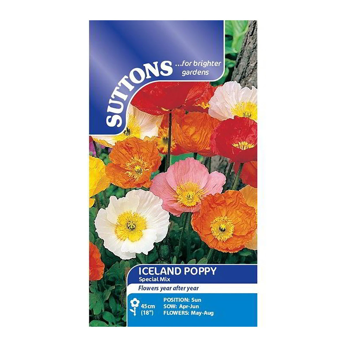 Suttons Seeds Suttons Seed Iceland Poppy Special Mix 1 Suttons Seeds Suttons Seed Iceland Poppy Special Mix