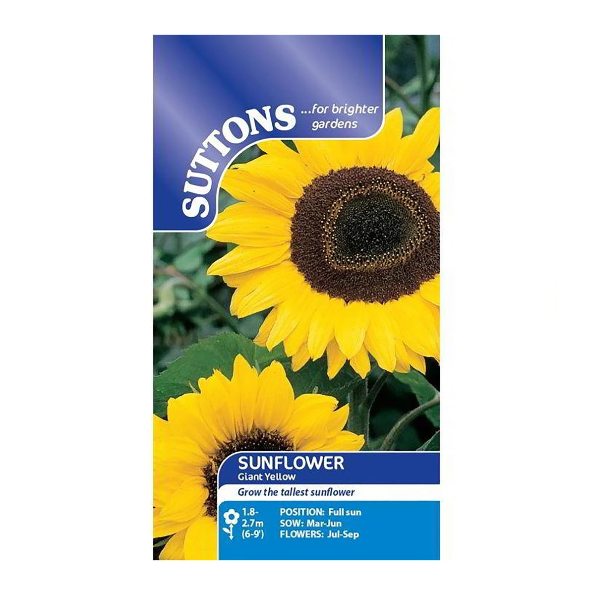 Suttons Seeds Suttons Seed Sunflower Giant Yellow 3 Suttons Seeds Suttons Seed Sunflower Giant Yellow - Billede 3