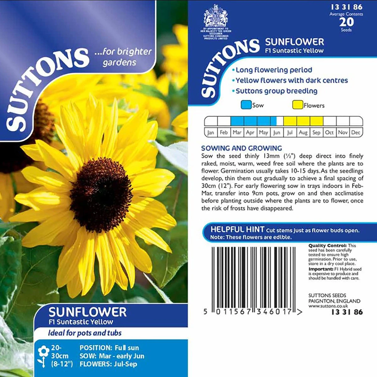 Suttons Seeds Suttons Seed Sunflower Suntastic Yellow 1 Suttons Seeds Suttons Seed Sunflower Suntastic Yellow