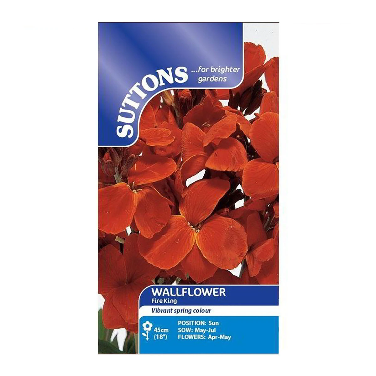 Suttons Seeds Suttons Seed Wallflower Fire King 1 Suttons Seeds Suttons Seed Wallflower Fire King