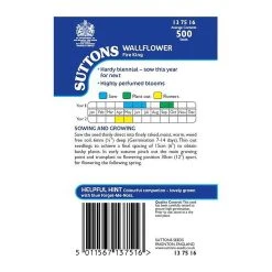 Suttons Seeds Suttons Seed Wallflower Fire King 5 Suttons Seeds Suttons Seed Wallflower Fire King -Kent & Stowe butik 9091975 rightoffront 1200Wx1200H