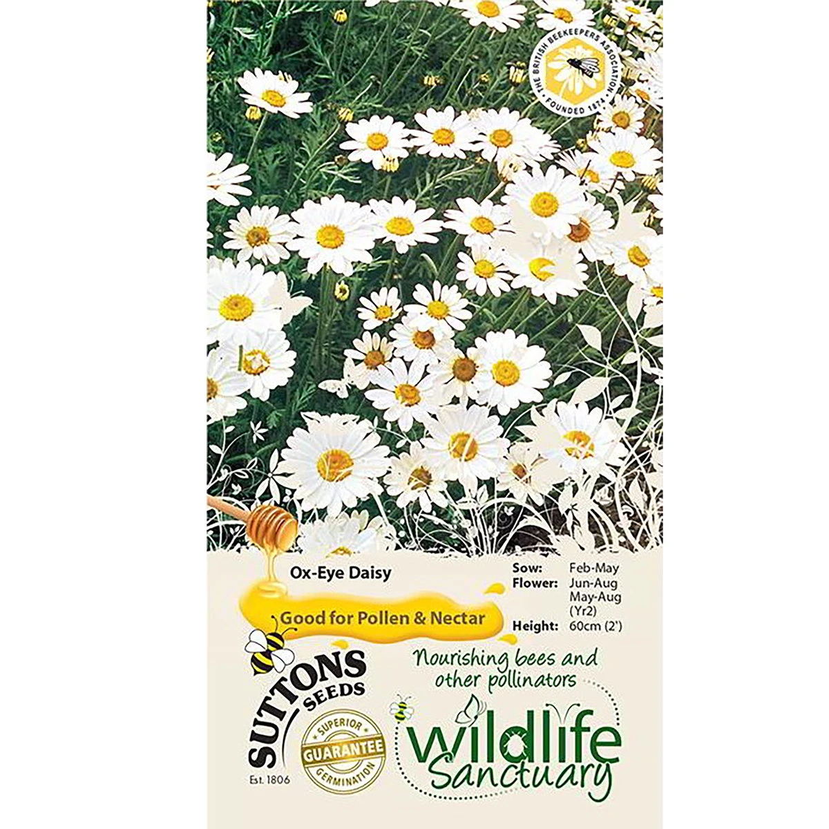 Suttons Seeds Suttons Seed Ox-Eye Daisy Wildflower 2 Suttons Seeds Suttons Seed Ox-Eye Daisy Wildflower - Billede 2