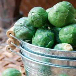 Suttons Seeds Suttons Seed Brussel Sprouts Bedfrod Fillbasket