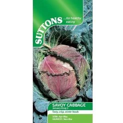 Suttons Seeds Suttons Seed Savoy Cabbage January King 3
