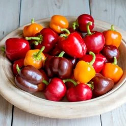 Suttons Seeds Suttons Seed Pepper Sweet Sweetonia Mix