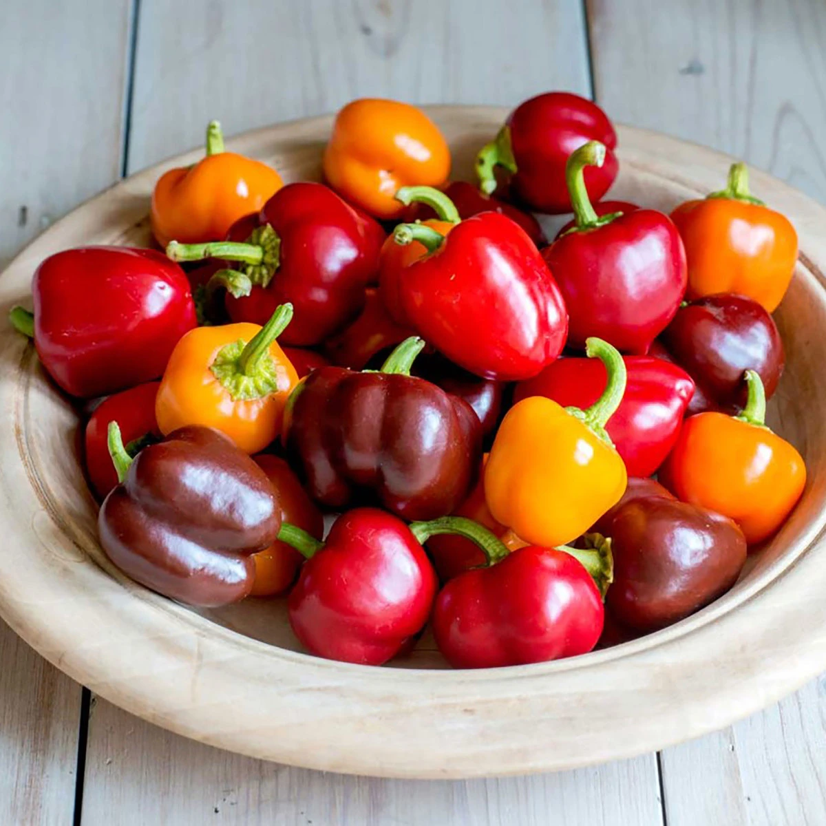 Suttons Seeds Suttons Seed Pepper Sweet Sweetonia Mix 1 Suttons Seeds Suttons Seed Pepper Sweet Sweetonia Mix