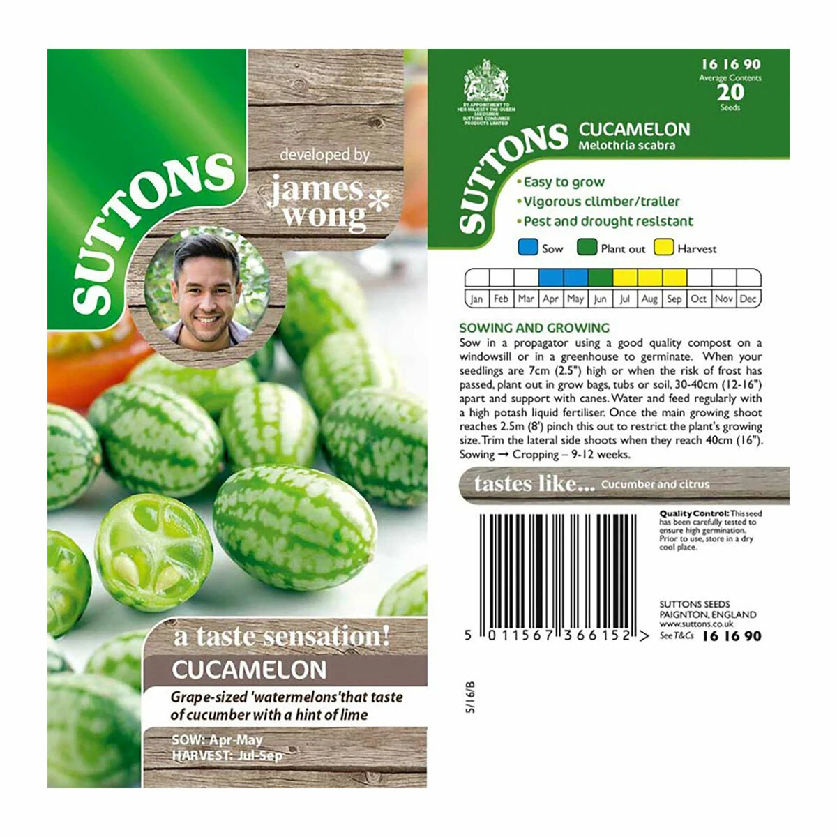 Sutton Seed Cucamelon 3 Sutton Seed Cucamelon - Billede 3