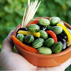 Sutton Seed Cucamelon