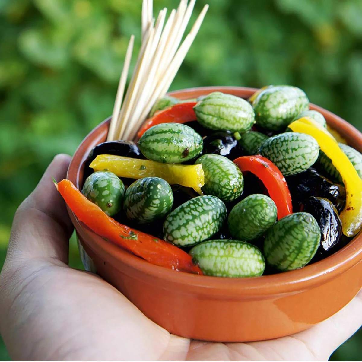 Sutton Seed Cucamelon 1 Sutton Seed Cucamelon