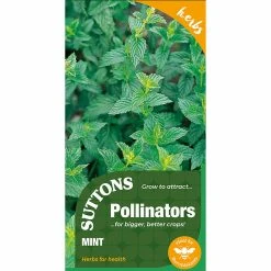Suttons Seeds Suttons Seed Mint