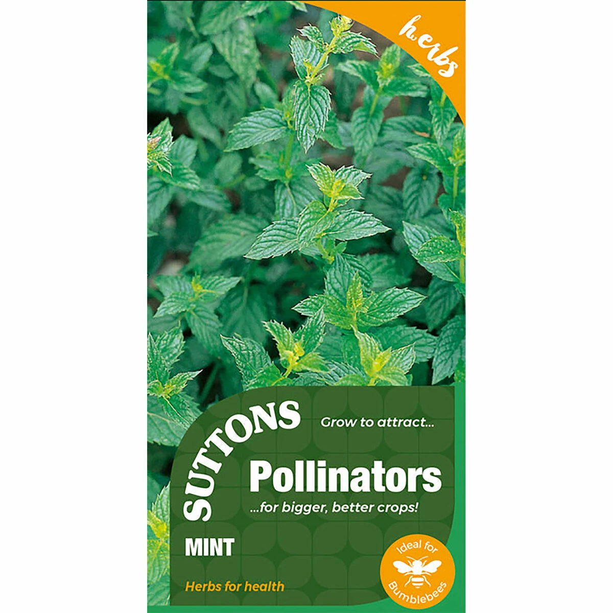 Suttons Seeds Suttons Seed Mint 1 Suttons Seeds Suttons Seed Mint