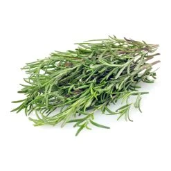 Suttons Seeds Suttons Seed Rosemary