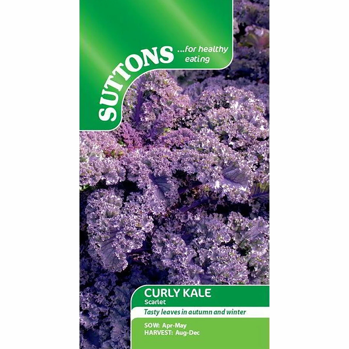 Suttons Seeds Suttons Seed Curly Kale Scarlet 2 Suttons Seeds Suttons Seed Curly Kale Scarlet - Billede 2