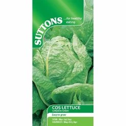 Suttons Seeds Suttons Seed Lettuce Lobjoits Green Cos