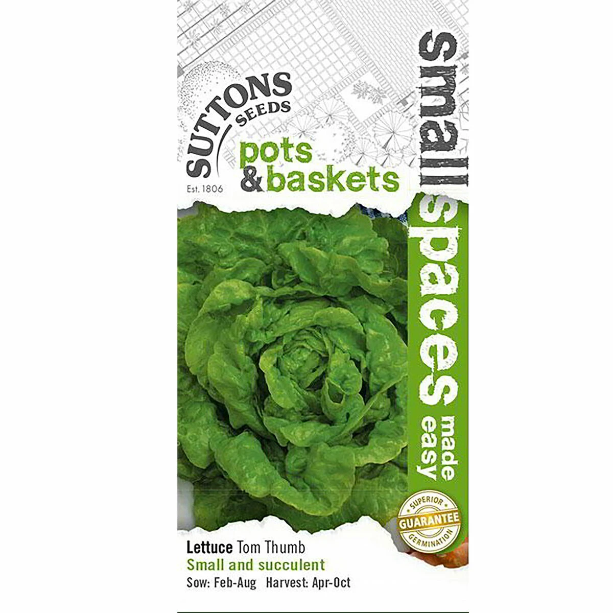 Suttons Seeds Suttons Seed Lettuce Tom Thumb 1 Suttons Seeds Suttons Seed Lettuce Tom Thumb