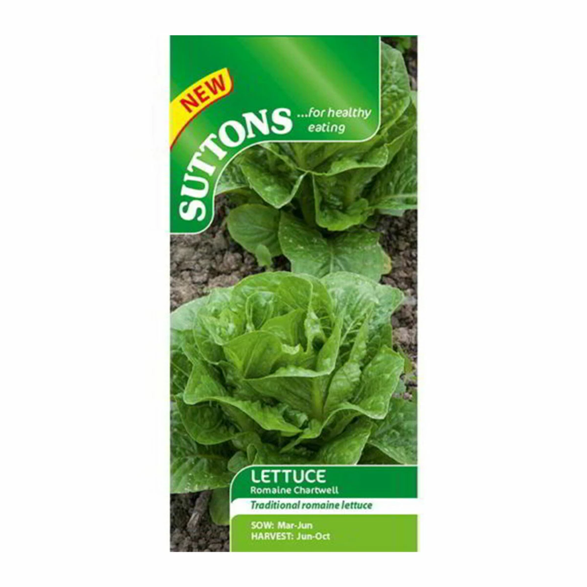 Suttons Seeds Sutton Seeds Lettuce Romaine Chartwell 1 Suttons Seeds Sutton Seeds Lettuce Romaine Chartwell